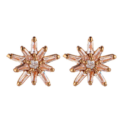 Aurylisse- Stone Studded Zirconia Stud Earrings
