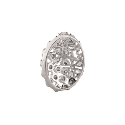 Starena- Stone Studded Zirconia Stud Earrings